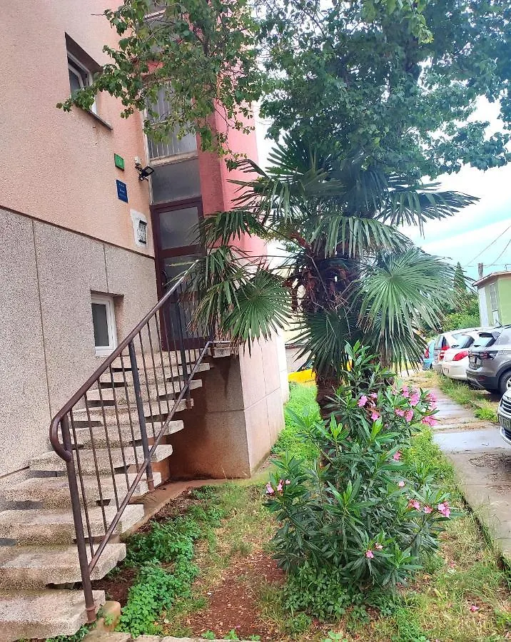 Apartman Levi Pola Appartamento